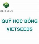 Học Bổng Vietseeds 2021 Là Gì ؟ Gì