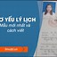 Sơ Yếu Lý Lịch Tự Thuật Mẫu 03 Pdf