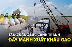 Việt Nam Xuất Khẩu Gạo Sang Châu Phi